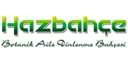 hazbahce